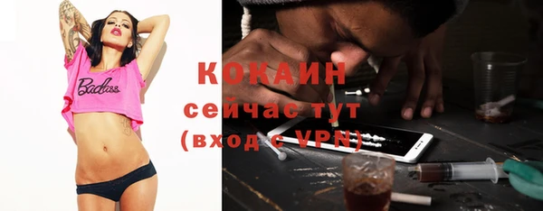 шишки Ладушкин