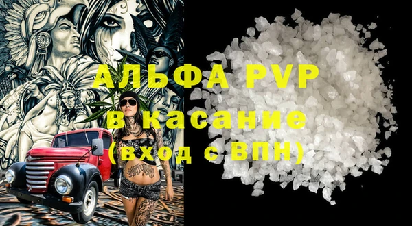 шишки Ладушкин
