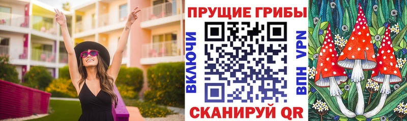 Псилоцибиновые грибы Magic Shrooms  Купить  Неман 